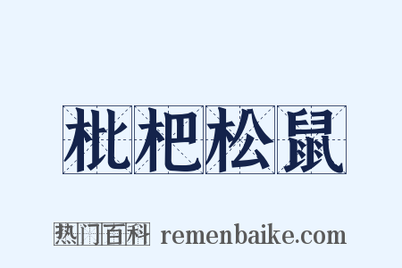 枇杷松鼠是什么意思的图片